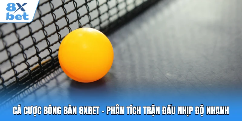 Cá Cược Bóng Bàn 8XBET - Phân Tích Trận Đấu Nhịp Độ Nhanh