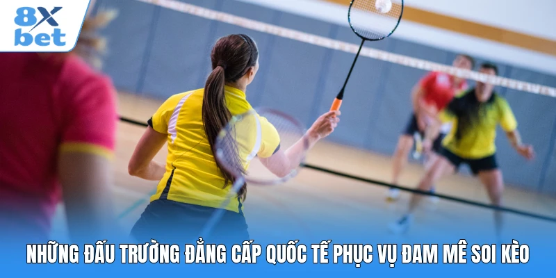Những đấu trường đẳng cấp quốc tế phục vụ đam mê soi kèo